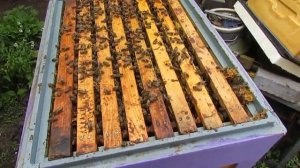 Улей ППУ Нижегородец новой конструкции, часть элемент