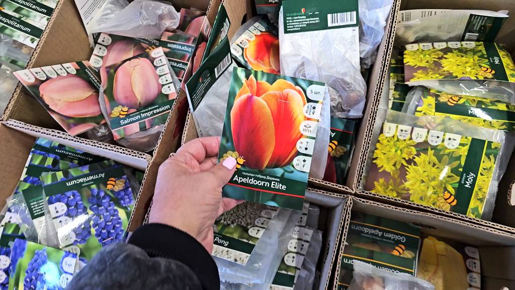 Магазин Светофор.Нужные новинки.И мои покупки смотреть онлайн