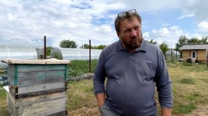 Восковая моль , польза личинок , про огнёвку 🔥