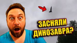 В АВСТРАЛИИ ОБИТАЮТ ДИНОЗАВРЫ? А ЗАБОР АВСТРАЛИИ построен для защиты от кроликов и собак динго?