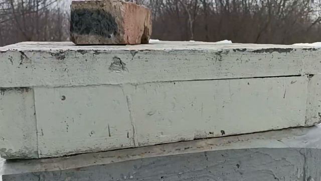 Календарь пчеломора - 30 марта 2024г.