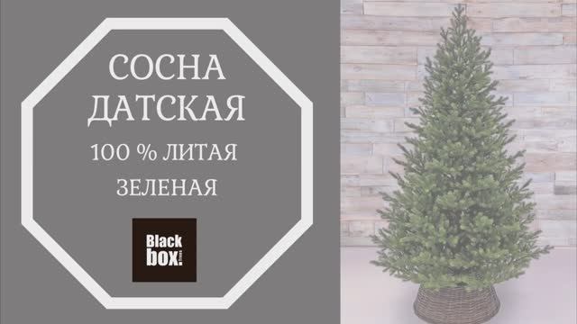 Black Box - Обзор искусственной сосны Датская 100% литая, зеленая смотреть онлайн