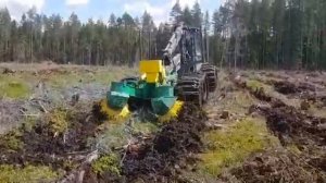 Дисковый рыхлитель ТТ-28М (Лесной плуг) от Завода Тимбе?