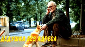 Дедушка без адреса 1 Сезон 2025 Сюжет и дата выхода Сериал (ТВЦ)