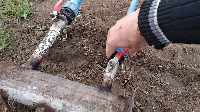 ВЕСЕННИЙ ПОЛИВ САДА