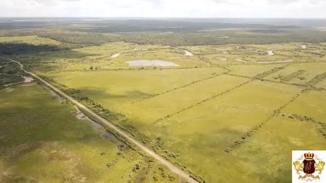 Тюмень Тюменский гектар Пермакультура 100 соток смотреть онлайн