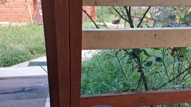 СОЧИ ГОРНОЕ ЛОО ВЕЧЕР 10.09.2025 смотреть онлайн