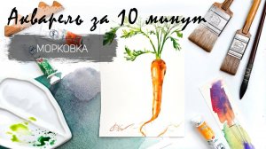 Рисуем морковку акварелью за 10 минут. Быстрые зарисовки. Акварель для новичков