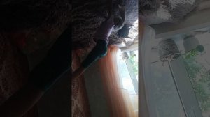 VID_20250830_125900.mp4