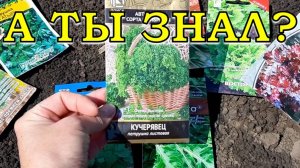 СЕНТЯБРЬ на даче: ЭТО еще можно посадить🌱🌱🌱