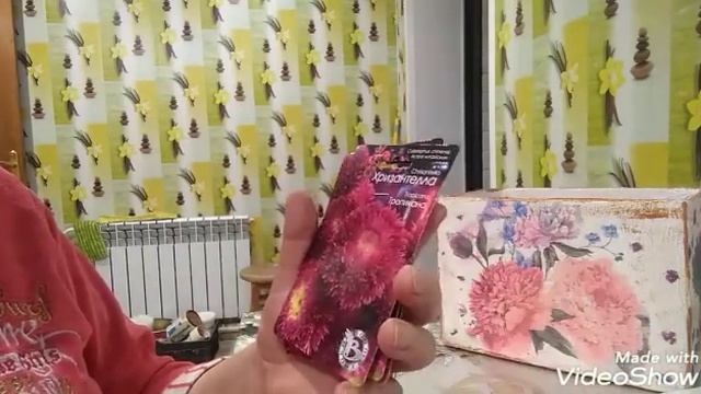 Семена астр на новый сезон.