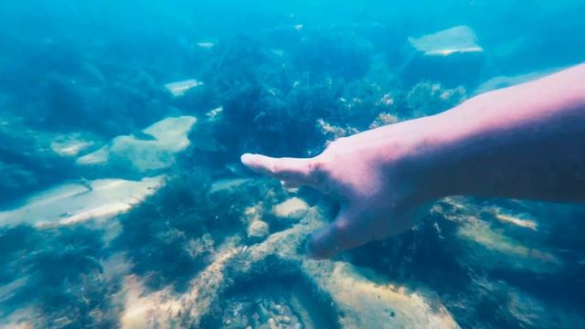 Чёрное море смотреть онлайн