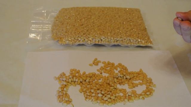 Кедровые орехи / Pine nuts смотреть онлайн