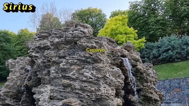 7 опасных растений уже в вашем доме — они забирают ваш? смотреть онлайн