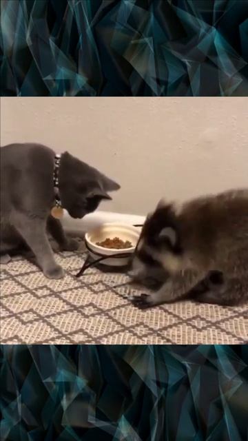 Два друга кушают и балуются смотреть онлайн