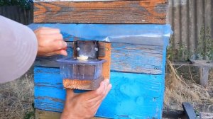 Наружная кормушка для пчел своими руками