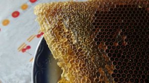 Кенийский улей - мед