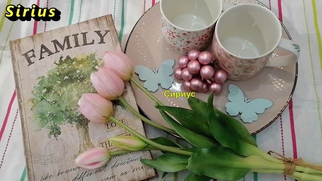 Почему нельзя оставлять одну вещь на кровати - это ведёт к бедности и тяжёлым болезням смотреть онлайн