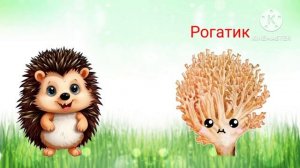 Грибы с глазами. Учим грибы. Для детей. Для малышей вид?