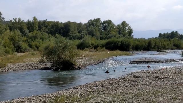 Горный мед Признаки осени Надо бежать Кавказ Псебай Л? смотреть онлайн
