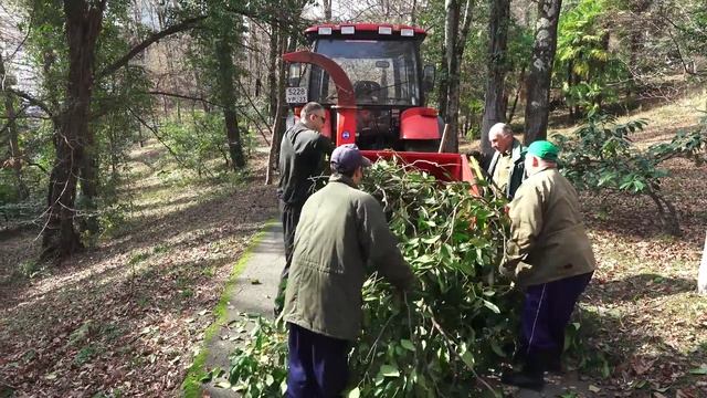 Дерево пустили на щепки