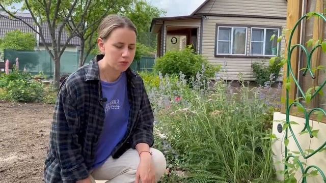 МУЛЬЧИРОВАНИЕ: как правильно проводить и для чего оно