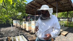 Запустили нуклеус на 300 рамку !!!