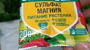 Тля на Томатах / Чобы Кусты  Были Здоровыми / Ответы на ?