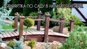 Прогулка по саду в начале сентября