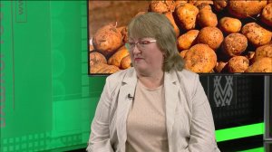 В новом выпуске программы «Здоровая среда» поговорили о пользе и вреде картофеля