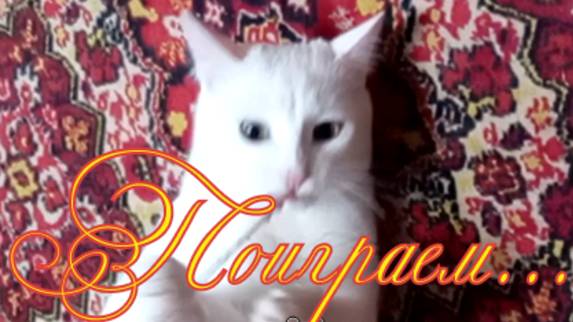 Котик играет...- смотреть онлайн