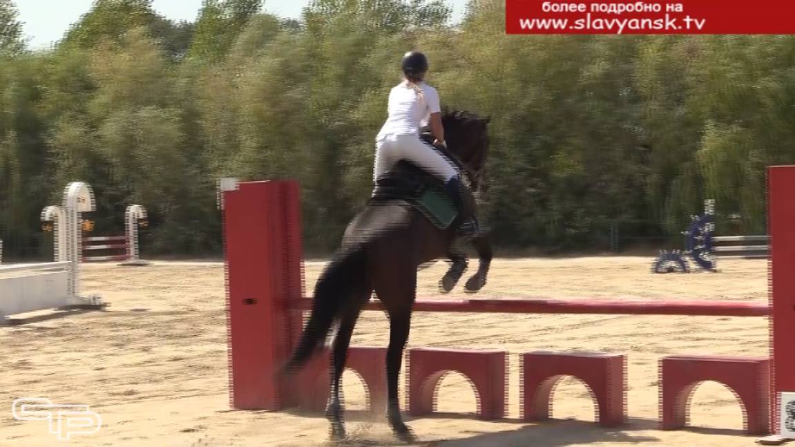 Конкур - это всегда прекрасно смотреть онлайн