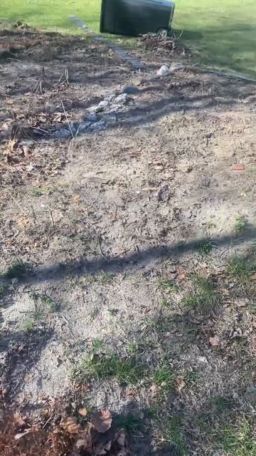 2736.земля за домом,сплошной песок,сложно там растить цв смотреть онлайн