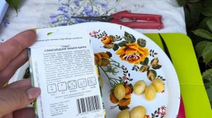 ТОМАТЫ ЧЕРРИ « СУМАСШЕДШИЕ ВИШНИ БАРРИ»