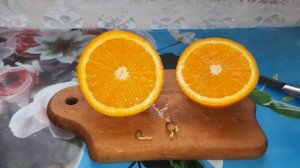 Выращивание Апельсина в Домашних  Условиях из КОСТОЧК