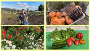 И снова к МАМЕ в деревню.