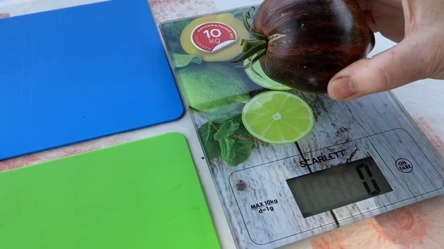 ТОМАТ ЭКЗОТ Мятежный звездный истребитель «Ведущий» /