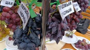 Обзор рыночного винограда. Репортаж с выставки в Доне?