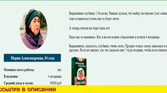 Домашняя Чудо Ягодница Отзывы смотреть онлайн