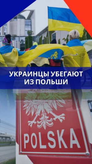 Украинцы, сбежавшие в Польшу, в панике пакуют чемоданы. Подробности  — на видео