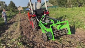 Собираем урожай картошки Кубота/Кентавр 344 от компании Кронос отличный помощник