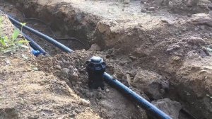 Ротор Rain Bird 5004 - роторный дождеватель Рейн Берд