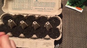 ВЫРАЩИВАНИЕ БРЮССЕЛЬСКОЙ КАПУСТЫ НА РАССАДУ Полезны