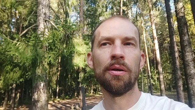 Дыхание осени, переиздание моей книги, воспоминания о путешествиях