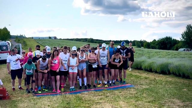 Понад 100 учасників пробігли серед лавандових полів | Lav смотреть онлайн