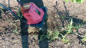Аккумуляторный культиватор, в деле.😅