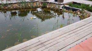 ПРУД СВОИМИ РУКАМИ// Пруд с биоплато// Искусственный пр