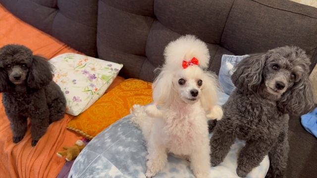 Семейный отдых на даче: летняя жизнь, цены и секреты ую