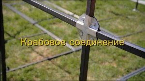 Теплица «Мария Делюкс РФ 54»