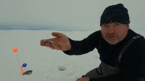 РЫБАЛКА на ГОЛЬЦА и КУМЖУ. С женой в ТУНДРУ. Живем в ПАЛАТКЕ.